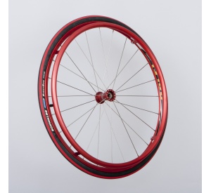kolo red 24