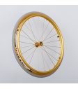 gold wheel 24