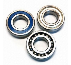 bearing 6004 2RS