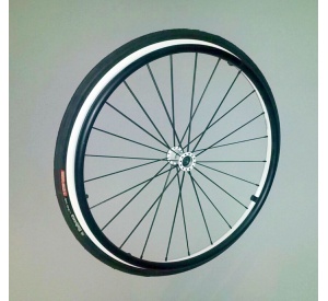 wheel black & white 24