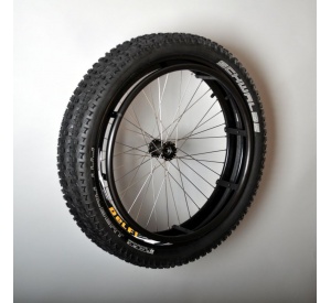 double-beach wheel 24